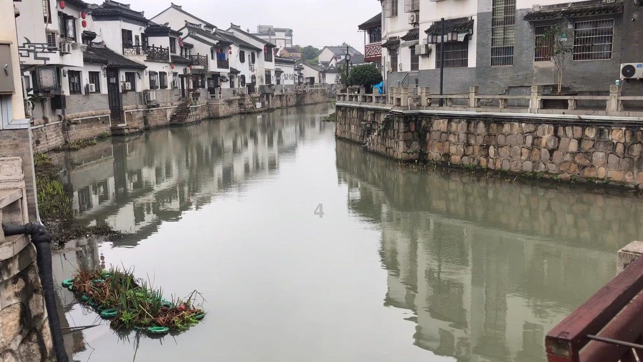 夏天经常被蚊子咬,该怎么办?——探索最新的冷知识和趣闻
